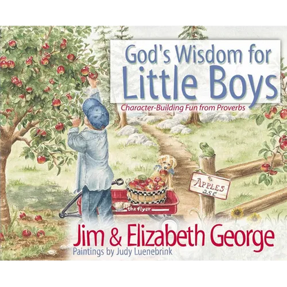 God's Wisdom for Little Boys: Character-Building Fun from Proverbs - Hardcover
