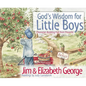 God's Wisdom for Little Boys: Character-Building Fun from Proverbs - Hardcover