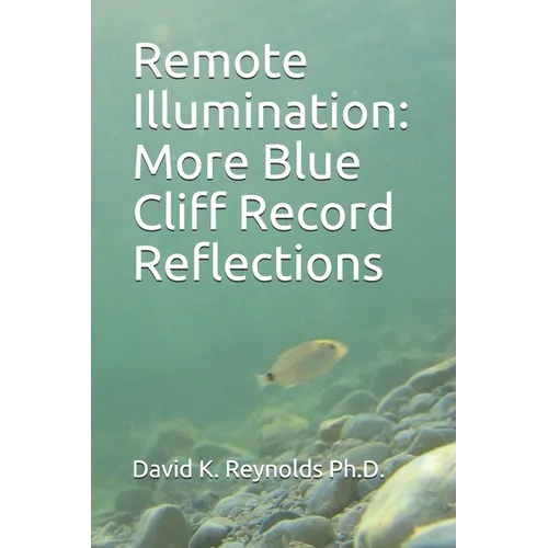 Remote Illumination: More Blue Cliff Record Reflections - Paperback
