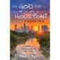Did God Die on the Way to Houston? A Queer Tale - Hardcover