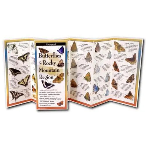 Butterflies of the Rocky Mountain Region