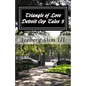 Triangle of Love - Paperback