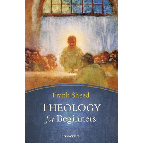 Theology for Beginners - Paperback
