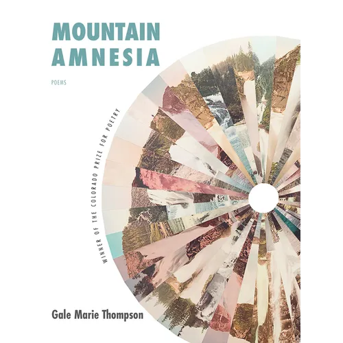 Mountain Amnesia - Paperback