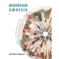 Mountain Amnesia - Paperback
