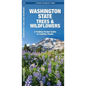 Washington State Trees & Wildflowers: A Folding Pocket Guide to Familiar Plants