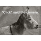Click, Said the Camera - Spiral