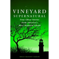 Vineyard Supernatural: True Ghost Stories from America's Most Haunted Island - Paperback