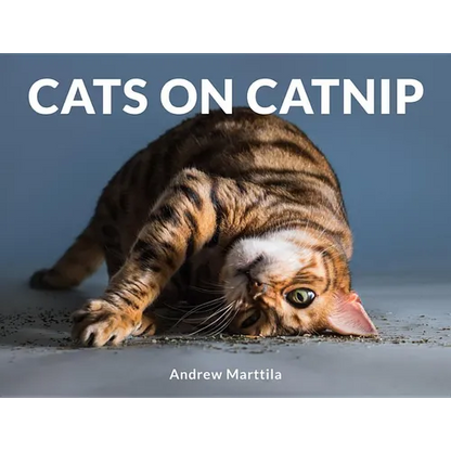 Cats on Catnip - Hardcover