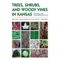 Trees, Shrubs, and Woody Vines in Kansas - Paperback