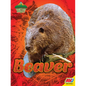 Beaver - Library Binding