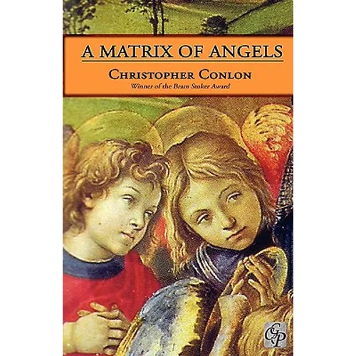 A Matrix of Angels - Paperback