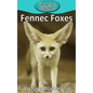 Fennec Foxes - Hardcover