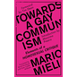 Towards a Gay Communism: Elements of a Homosexual Critique - Hardcover