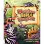 Adventure Bible Storybook - Hardcover