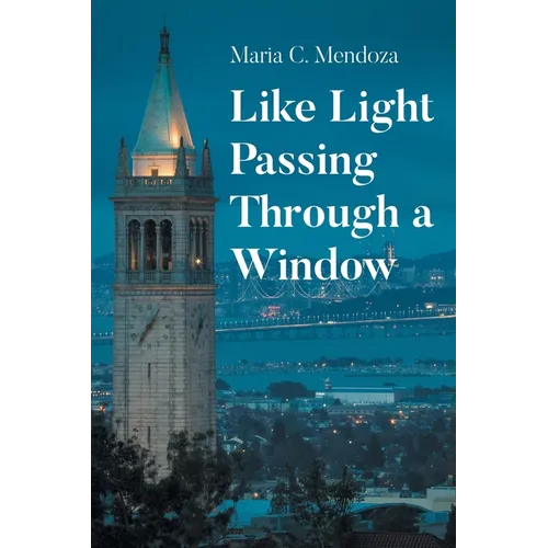 Like Light Passing Through a Window - Paperback
