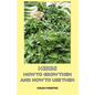 Herbs - How to Grow Them and How to Use Them - Paperback