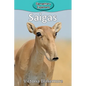Saigas - Paperback