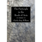 The Participle in the Book of Acts - Paperback