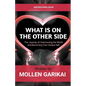 What Is On The Other Side - Paperback
