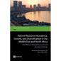 Natural Resource Abundance, Growth, and Diversification in the Middle East and North Africa - Paperback