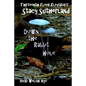 Stacy Sutherland: Down the Rabbit Hole - Paperback