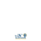 Haddadat Sholom: The Temple Beth Sholom Haggadah - Paperback