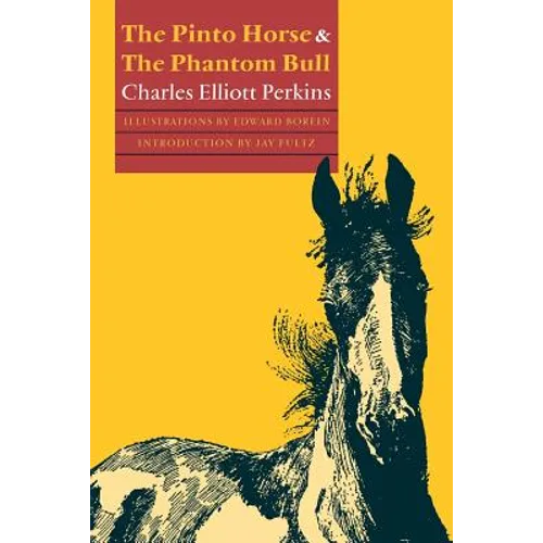 The Pinto Horse and the Phantom Bull - Paperback