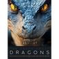 The Truth About Dragons: The Ultimate Illustrated Art Guide for Fantasy Lovers - Hardcover