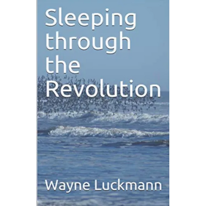 Sleeping through the Revolution - Paperback