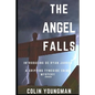 The Angel Falls: Introducing DC Ryan Jarrod in a gripping Tyneside crime mystery - Paperback
