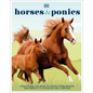 Horses & Ponies - Hardcover