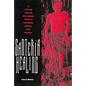 Santeria Healing: A Journey Into the Afro-Cuban World of Divinities, Spirits, and Sorcery - Paperback