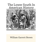 The Lower South In American History - Paperback