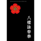 Wing Chun kung-fu de ocho modelos - Paperback