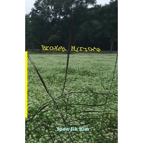 Broken Mirrors - Paperback