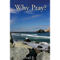Why Pray? - Paperback