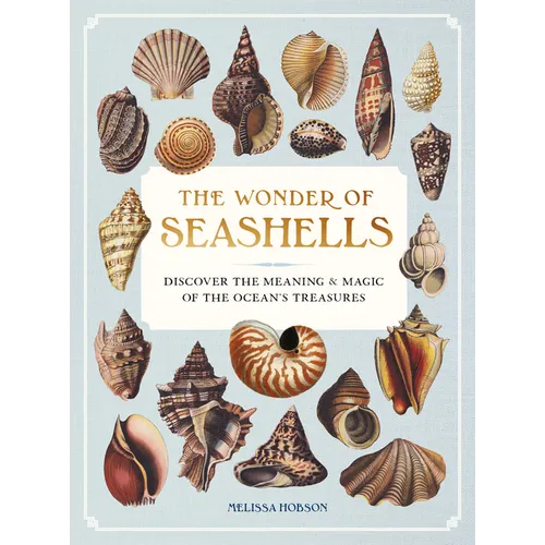 The Wonder of Seashells: Discover the Meaning & Magic of the Ocean's Treasures - Hardcover