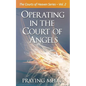 Operating in the Court of Angels - Paperback