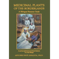 Medicinal Plants of the Borderlands: A Bilingual Resource Guide - Hardcover