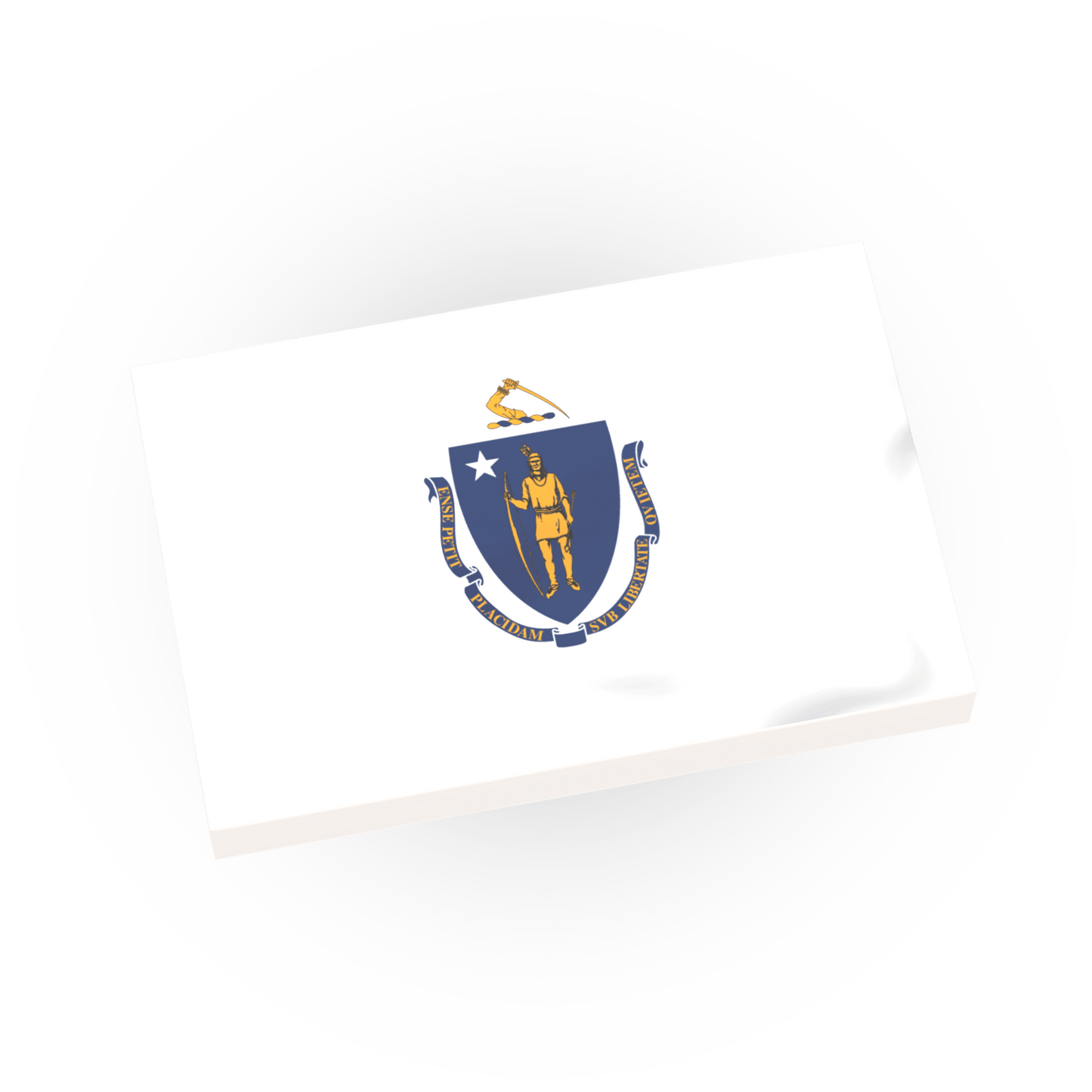 Massachusetts State Flag - Custom Printed - Made Using LEGO® Tiles
