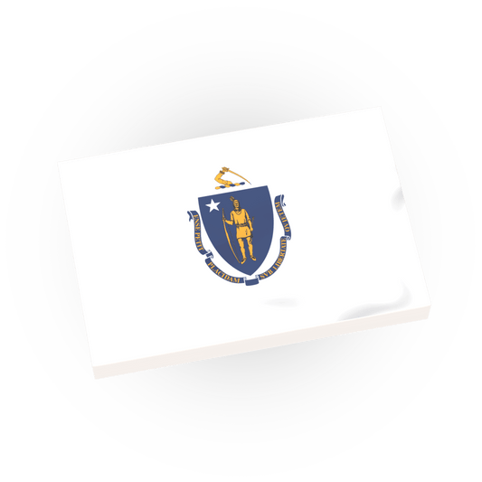 Massachusetts State Flag - Custom Printed - Made Using LEGO® Tiles