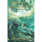 Michelle and the Missing Manatee - Hardcover