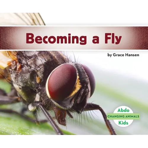 Becoming a Fly - Library Binding