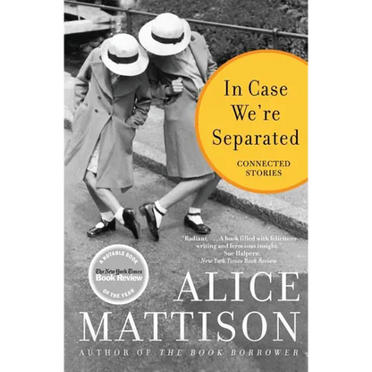 In Case We're Separated: Connected Stories - Paperback