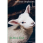 Advent Orphans: an Advent Novel - Paperback