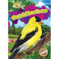 Goldfinches - Library Binding
