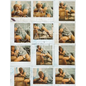 Polaroids - Hardcover