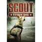 Scout: Storm Dog - Paperback