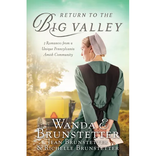 Return to the Big Valley - Paperback